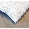 Luxe Belton Faux Fur Pillow | 2-Pack | 12"x20" - 2 of 4