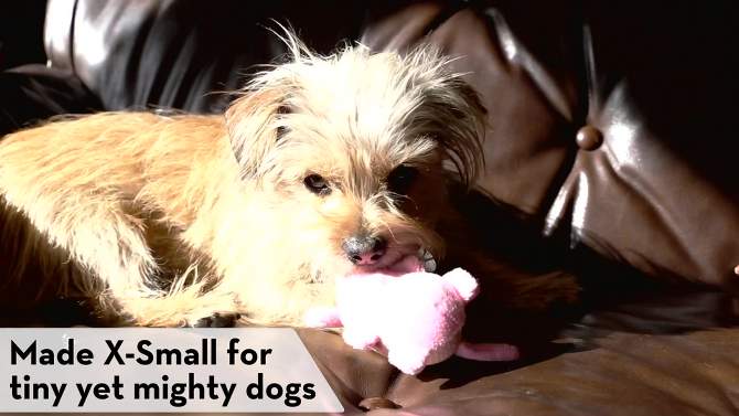 KONG Phatz Pig Dog Toy, 2 of 5, play video