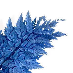 Alilang Decorative Dried Fern Leaves for Home Decoration and Floral Arrangements, 13.5 Inches - 1 of 3