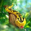 TERRA by Battat Giant Anaconda Remote Control Snake - 2 of 4