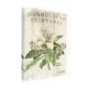 Trademark Fine Art -Sue Schlabach 'Magnolia De Printemps' Canvas Art - 4 of 4