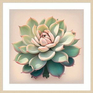 Amanti Art Echeveria Pulidinis by Incado Wood Framed Wall Art Print - 1 of 4