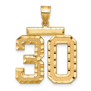 Black Bow Jewelry 14k Yellow Gold, Varsity Collection, Large D/C Pendant Number 30 - 1 of 4