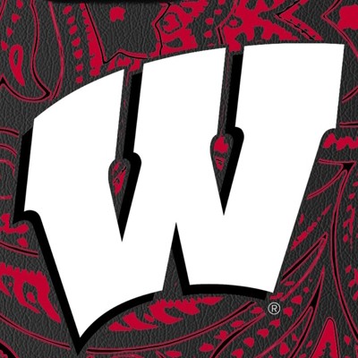 wisconsin badgers
