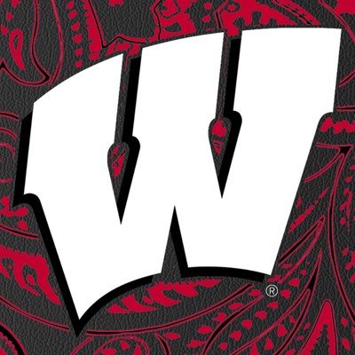 wisconsin badgers