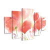 Trademark Fine Art Sheila Golden Poppy Perfection 5 Piece Panel Set Art - 2 of 3