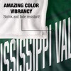 Mississippi Valley State University Fan Zone Silky Touch Super Soft Throw Blanket 50x60 - 4 of 4