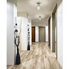 Z-Lite Kinsley 1 - Light Semi-Flush Mount in  Brushed Nickel - 4 of 4