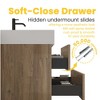 FAMYYT 24 in. Single Sink Floating Rough Oak Bath Vanity with White Engineered Quartz Composite Top, 2 Soft Drawers - 4 of 4