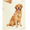 E & S Imports 7.0 Inch Golden Retriever Serengeti Tumbler Hot Or Cold Drinks Tumblers - 3 of 3