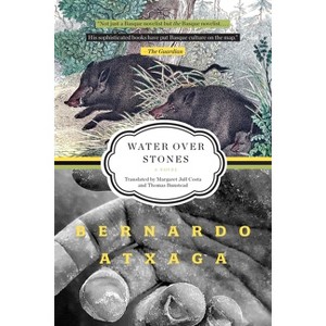 Water Over Stones - by  Bernardo Atxaga (Paperback) - 1 of 1