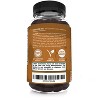 Sunergetic Premium Mushroom Gummies Supplement -Immune Health, Brain, Stress Support - Blend with Lions Mane, Chaga, Reishi, Turkey Tail, Cordyceps - image 3 of 3