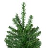 Northlight Winona Fir Artificial Christmas Tree - 9.5' - Unlit - 4 of 4