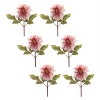 Faux Dahlia Stems – Pink Floral Set Of 6 – 16"H – Tabletop Arrangement – By Melrose - 3 of 3