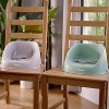 Ity by Ingenuity My Spot Easy-Clean Baby Booster Seat Feeding Chair - 4 of 4