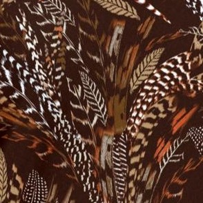 coffee bean feather