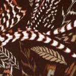 coffee bean feather