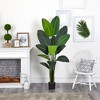 Nearly Natural 69-in Travelers Palm Artificial Tree - 3 of 3