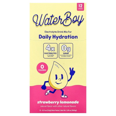 Waterboy Daily Hydration, Electrolyte Drink Mix, Strawberry Lemonade, 12 Stick Packs, 0.11 oz (3.1 g) Each