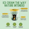 Ice Cream For Bears Frozen Mint & Chocolate Chip Ice Cream - 14 fl oz - 3 of 4