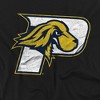 Men's Pace University Official Distressed Primary Logo T-Shirt - 2 of 4