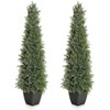 Artificial Cedar Topiary Tree with Real Wood Trunk - UV Resistant Faux Potted Plant for Outdoor/Indoor Use, - 2 of 4