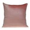 Parkland Collection,Nerine Transitional Reversible Throw Pillow - 2 of 4