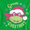 Toddler Boys' Teenage Mutant Ninja Turtles Green Greetings For Christmas Toddler Tee - 3 of 4