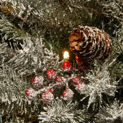 Dunhill Fir 3' Tabletop Christmas Tree with Warm White LED Lights