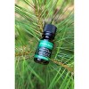 Plantlife Evergreen Aromatherapy Essential Oil Blend – 100% Pure, Therapeutic Grade, No Additives or Fillers, Made in California, 10 ml - 4 of 4