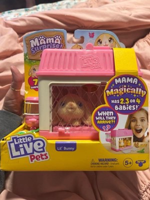 Little Live Pets - Mama Surprise Minis. Feed and Nurture a Lil' Mouse. She  has 2, 3, or 4 Babies with Surprise Accessories to Dress Up The Babies for