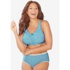 Comfort Choice Plus Size Cotton Spandex Lace Detail Brief 2-Pack - 3 of 4