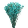 Unique Bargains Natural Dried Baby's Breath Flowers Branches for Wedding Party Decoration Blue 1 Pc - 3 of 4