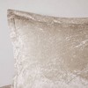 Intelligent Design Alyssa Velvet Microfiber Soft Duvet Cover Set with Throw Pillow - 4 of 4