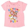 Paw Patrol Nickelodeon Skye Rubble Chase Girls Birthday T-Shirt Toddler to Big Kid - 2 of 4