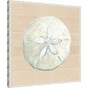 Amanti Art Sand Dollar On Wood Background by Patricia Pinto Canvas Wall Art Print Framed 22 x 22-in. - 3 of 4
