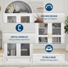 Cold Rolled Steel Furniture - Iron Arch Double Door Cabinet with Glass, 2 Doors, H185 x W78 x D39CM, 0.6MM Thickness, White - 3 of 4