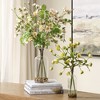 Uttermost Tranquility Lenten Rose Bouquets- Perfect Accent Hellebore with Faux Water, Set of 2 - 2 of 3