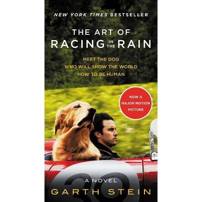 Art of Racing in the Rain -  MTI by Garth Stein (Paperback)