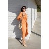 Joey Maxi Dress - LEZAT - 4 of 4