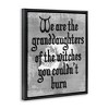 Stupell Industries Witches You Couldn't Burn Phrase Floating Frame Canvas Art - 2 of 4