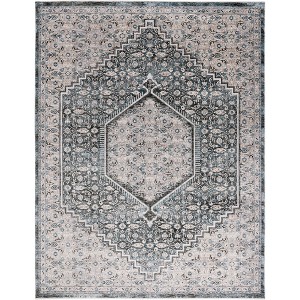 Artifact ATF552 Power Loomed Indoor Rugs - Safavieh - 1 of 4