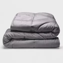 Sealy 48" x 72" Microplush 12lb Weighted Blanket Gray