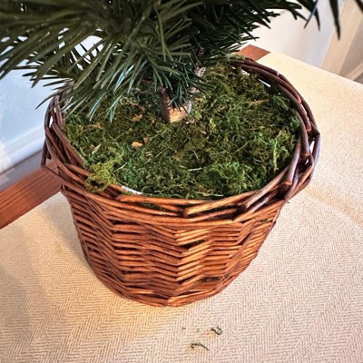 Guest review image 2 of 3, zoom in