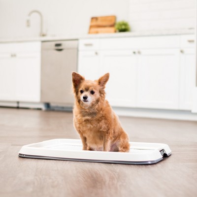 Medium Gray Pet Training Pad Holder with Non-Skid Feet