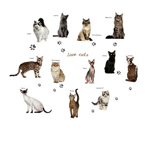 Unique Bargains Coffee Shop PVC Cat Print Self-adhesive Window Film Protector Wall Sticker 27.6" x 20" - 1 of 3