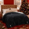 Bedsure Heated Blanket - Fast Heating Electric Blanket Soft Flannel Heated Throw Warm Gifts for Family - 2 of 4
