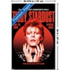 Trends International David Bowie - Ziggy Stardust Live Unframed Wall Poster Prints - 3 of 4