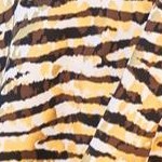gold zebra foil