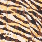gold zebra foil